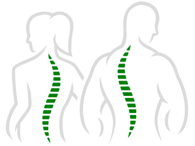 Chiropractic Clinton Township MI Spine Figures Chiropractic Clinton Township MI Spine Figures